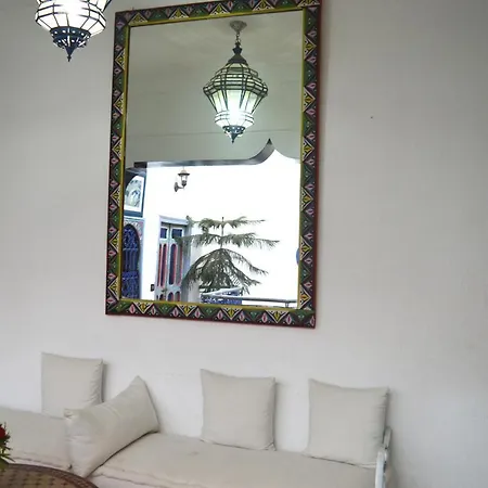 Riad Wink-3
