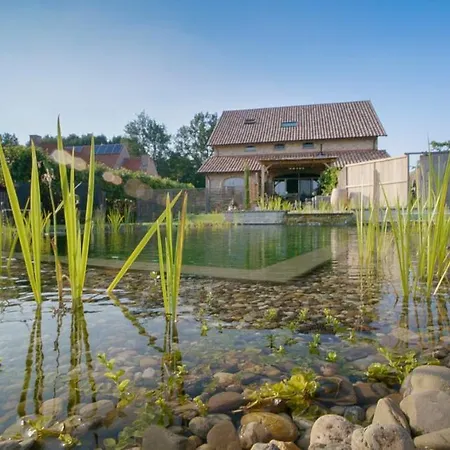 Lavendine Pure Guesthouse-2