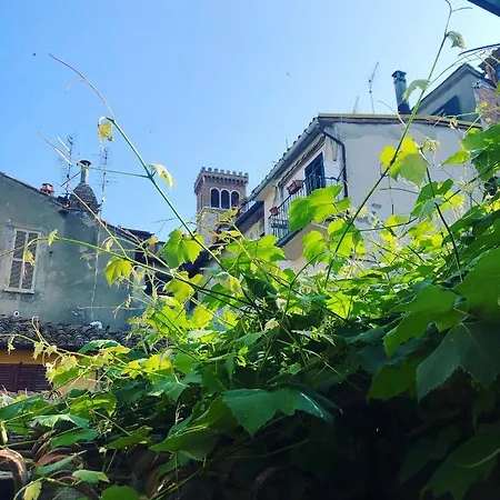 B&B Uva Fragola-2