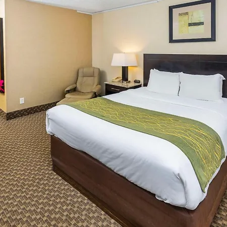 Comfort Inn & Suites Edmonton Downtown-2