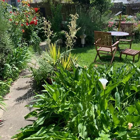 Dom'S Garden-2