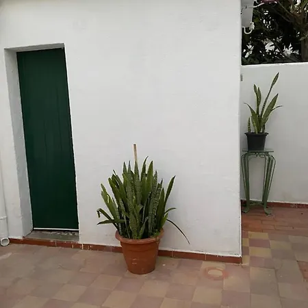 The Tiles House-3