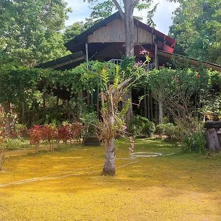 Bohol-Lahoy Dive Resort-2