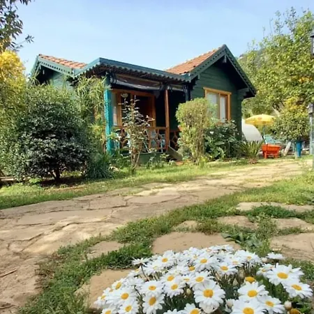 Turkuaz Bungalows-3
