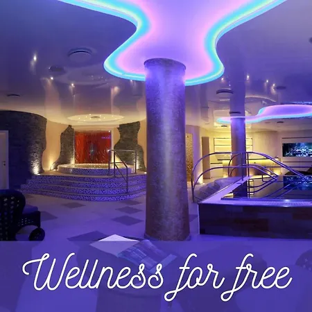 Hotel Ambiente Wellness & Spa-2