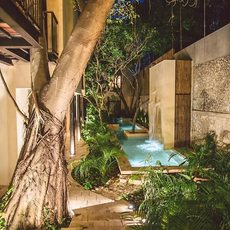 Treehouse Boutique Hotel, An Adults Only Boutique Hotel-2