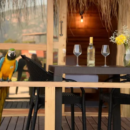 Green Pine Bungalows & Beach Luxury Concept-3