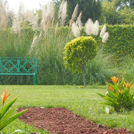 Quinta Gyo-3