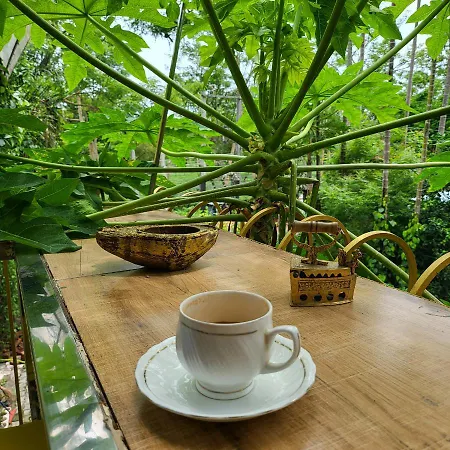 Super Luxury Gold Room With Private Pool At Homestay By The Tea Garden Dibrugarh-2