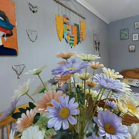 alley homestay_Liễu Giai-2