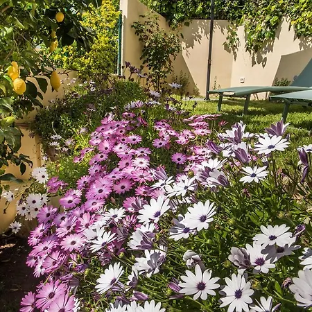 Accanto Alle Mura Rooms & Relax Spa-2