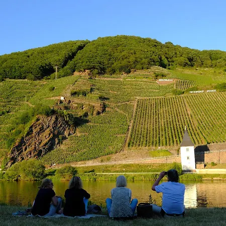 Gaestehaus & Weingut Cluesserath-Weiler-3