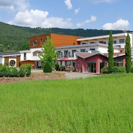 Main-Vinotel Weingut Helmstetter-2