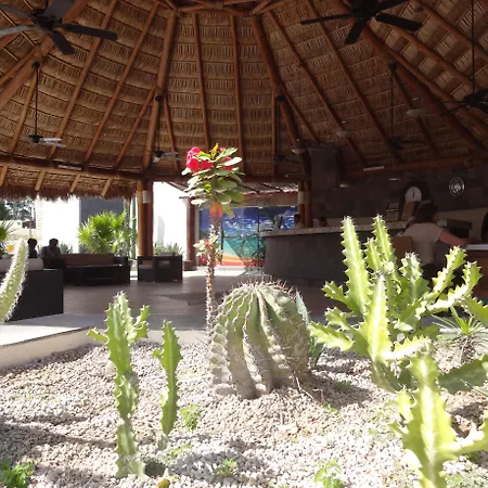 Park Royal Homestay Los Cabos-3