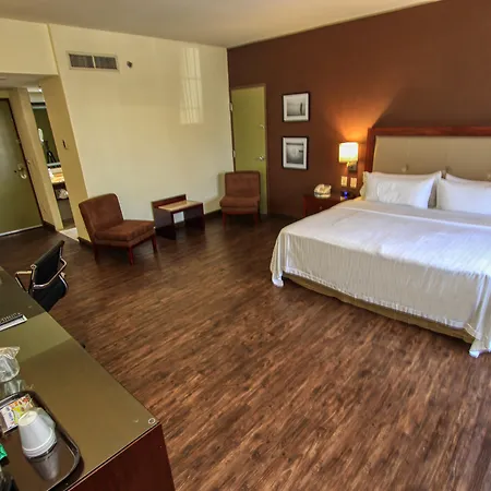 Holiday Inn Leon By Ihg-3