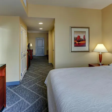 Hilton Garden Inn Indianapolis Airport-3