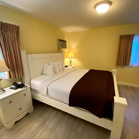 Hollywood Celebrity Hotel-2