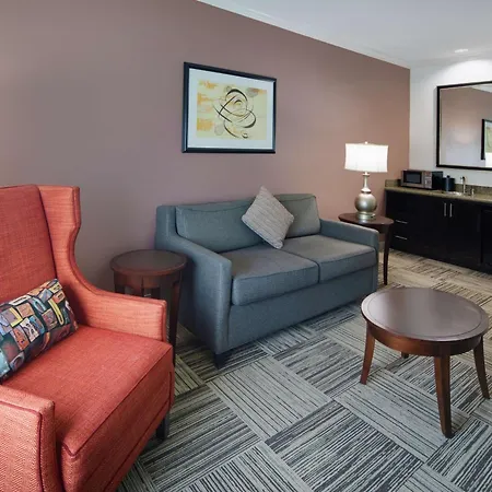 Hilton Garden Inn Tyler-2