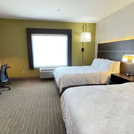 Holiday Inn Express Hotel & Suites Decatur, Tx By Ihg-3