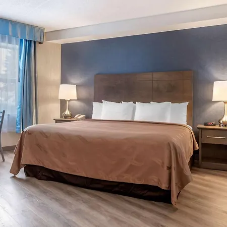 Quality Suites-3