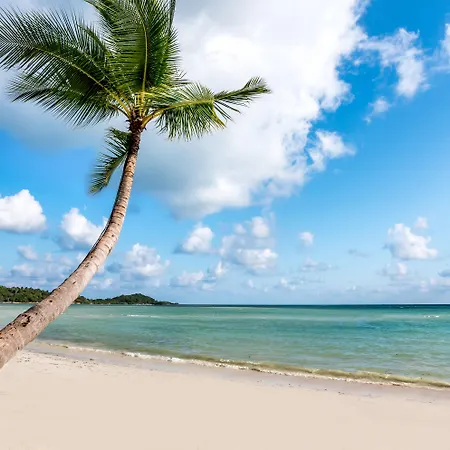Beyond Samui-2