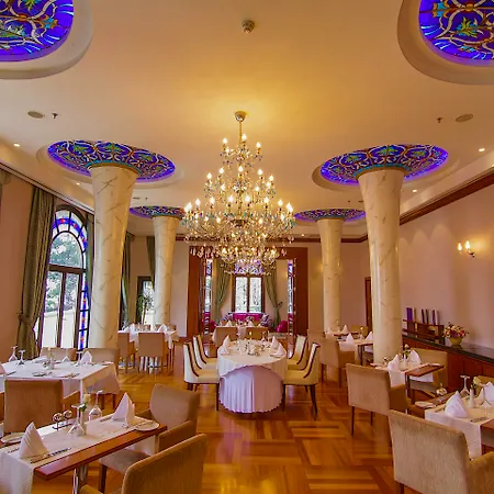Hotel Celik Palas Convention Center & Thermal Spa-3