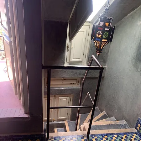Riad Moullaoud-3