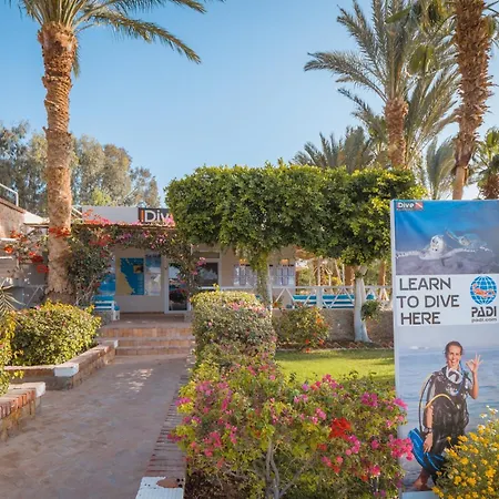 Fort Arabesque Resort, Spa&Villas-2