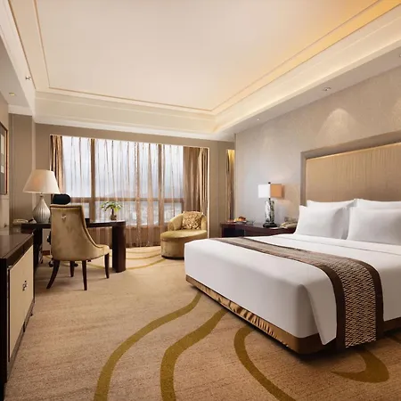 Shenzhen Baolilai International Hotel---Airport Branch-3