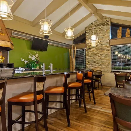 Best Western Orlando West-3