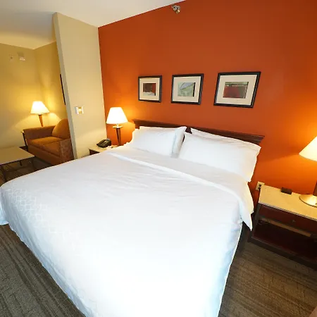 Holiday Inn Express Hotel & Suites Tampa-Oldsmar By Ihg-3