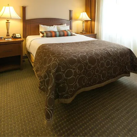 Staybridge Suites Lubbock-University Area By Ihg-3