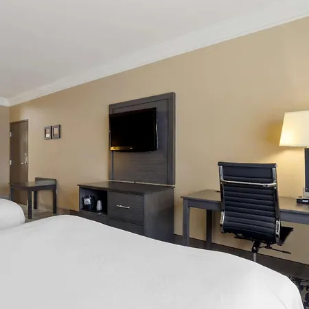 Comfort Suites Kingwood, Humble, New Caney, Houston Iah Airport-3