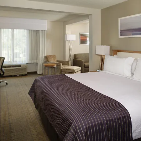 Holiday Inn Franklin - Cool Springs By Ihg-3