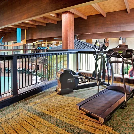 Holiday Inn At Six Flags Saint Louis By Ihg-2