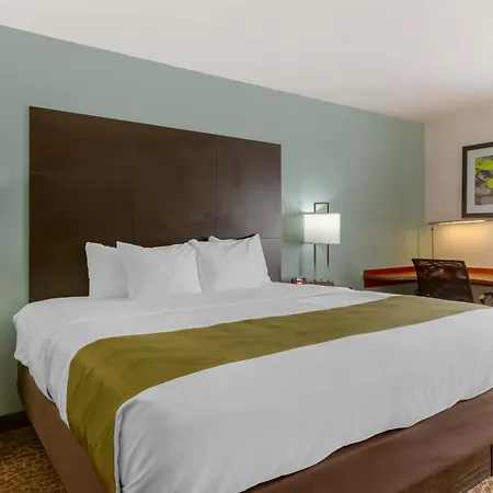 Quality Inn Alexis Rd-2