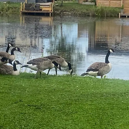 16 Lake View, Pendle View Holiday Park, Clitheroe-3