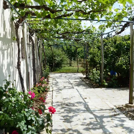 Weinbau&Pension – Familie Birgit und Bernhard Meusert-2