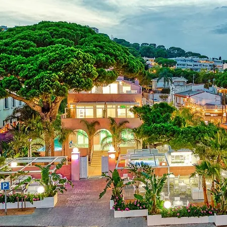 The Pink Elephant Hotel-2