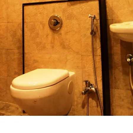 Anand Hotel-3