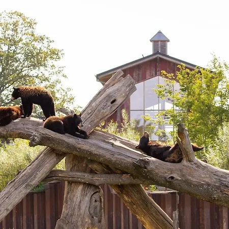 Parc Animalier De Sainte-Croix-3