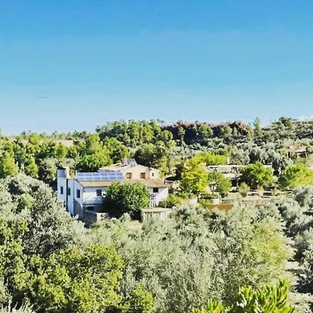 B&B Mas Del Pi-3