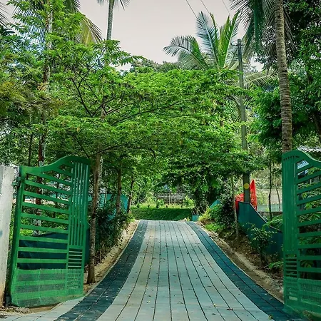Green Aura By Bob Hotels-3