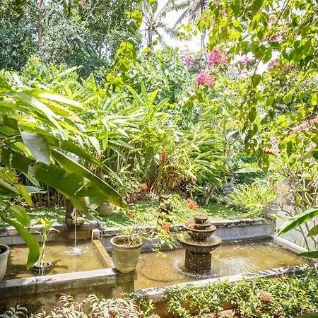 White House-3