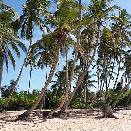 Coconut Tree Beach House-2