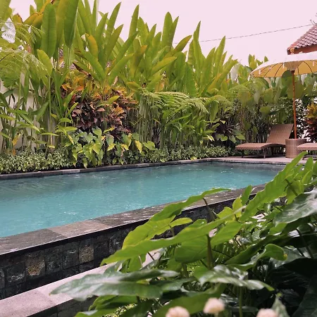 Griya Tropical-2