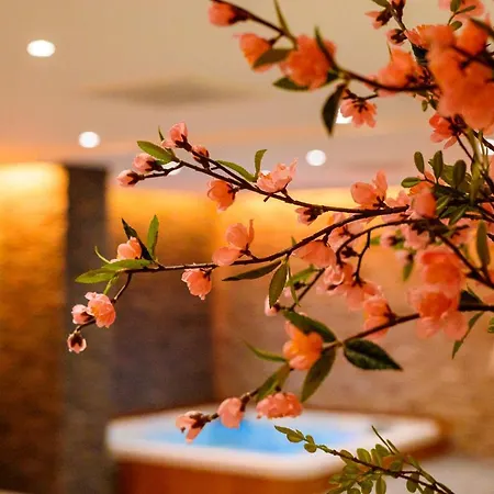 Prive Spa L'Amour-2