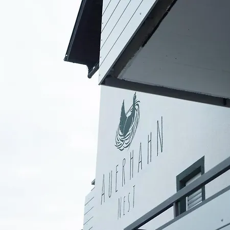 Auerhahn Nest-2