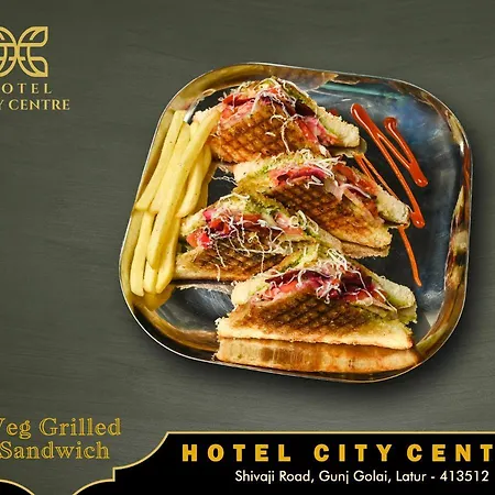 Hotel City Centre Latur-2