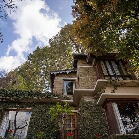 Avenida Snowcap Retreat-2